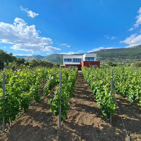 Seven Hearts With Heated Pool And Private Basketball Playground Near Split *